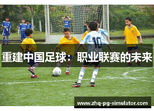 重建中国足球：职业联赛的未来