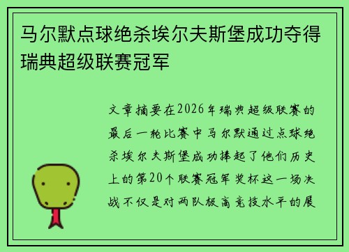 马尔默点球绝杀埃尔夫斯堡成功夺得瑞典超级联赛冠军